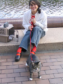 Chairman Meow and Wendy Chao